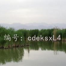 ǧ